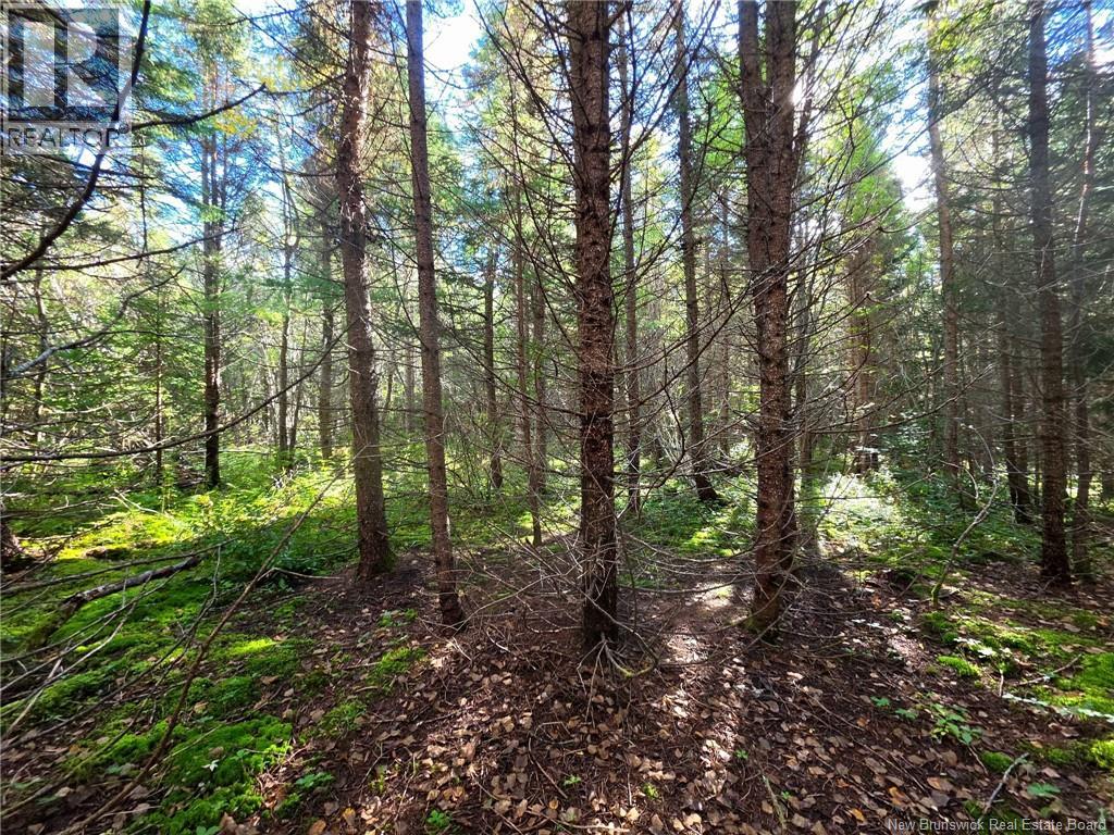 Lot 25-3 Mulligan Road, Fundy, New Brunswick  E4H 2M3 - Photo 18 - NB149033