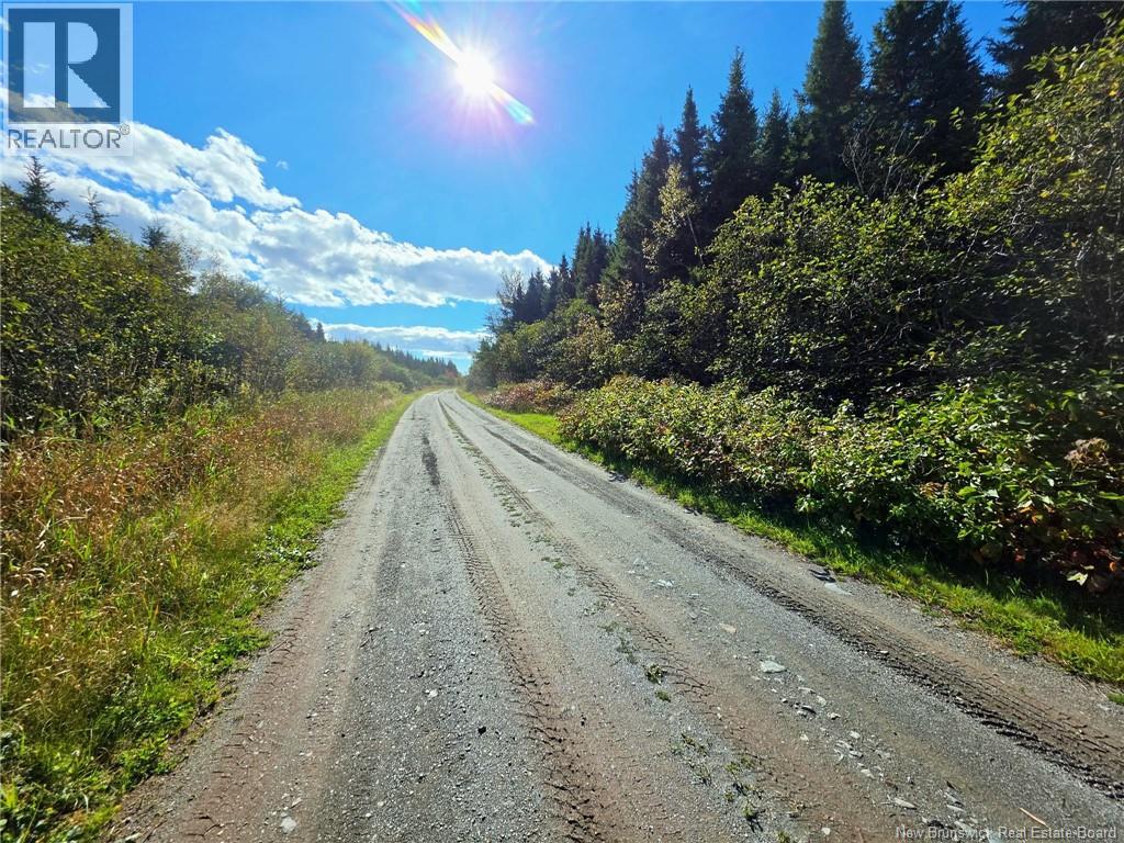 Lot 25-3 Mulligan Road, Fundy, New Brunswick  E4H 2M3 - Photo 22 - NB149033
