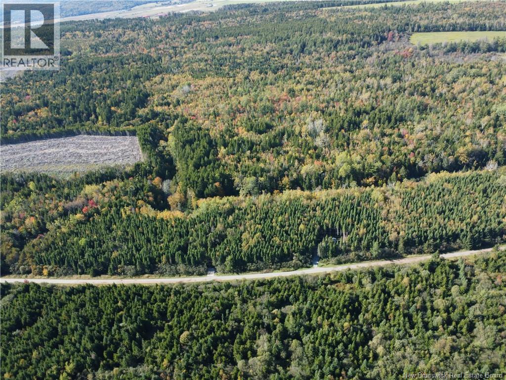 Lot 25-3 Mulligan Road, Fundy, New Brunswick  E4H 2M3 - Photo 6 - NB149033