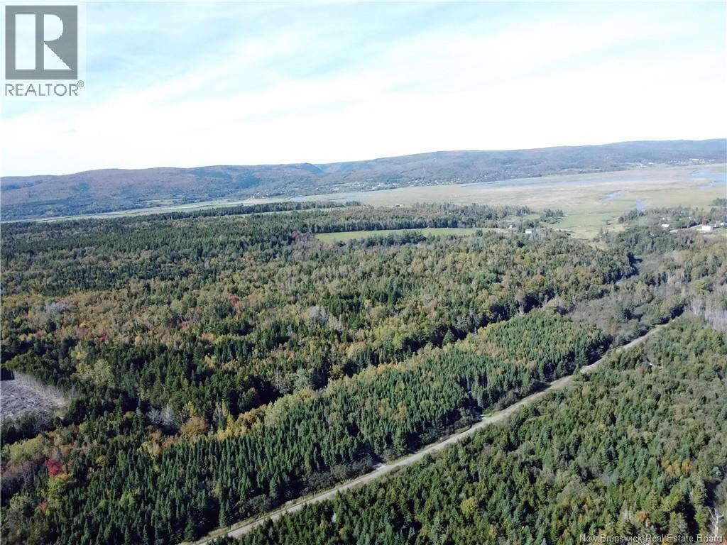 Lot 25-3 Mulligan Road, Fundy, New Brunswick  E4H 2M3 - Photo 8 - NB149033