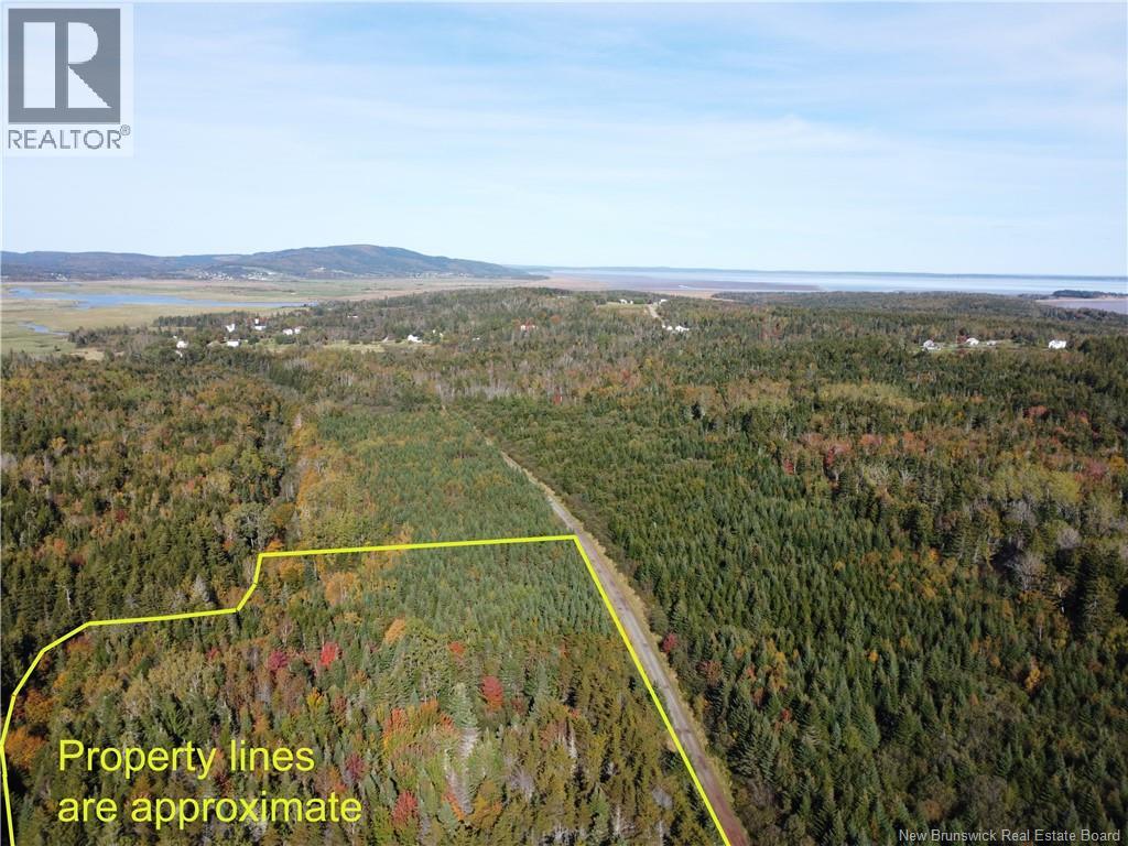 Lot 25-3 Mulligan Road, Fundy, New Brunswick  E4H 2M3 - Photo 9 - NB149033
