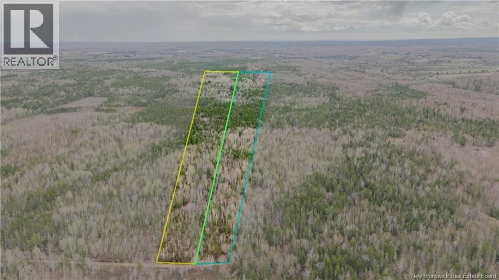Woodlots Gallant Settlement Cross Road, Cormier Village, New Brunswick  E4P 7M7 - Photo 4 - NB149327