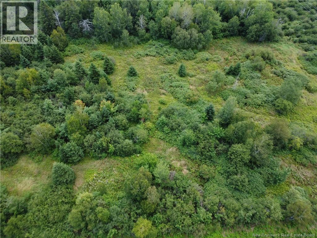 Lot Jean-Louis, Tremblay, New Brunswick E8J 3B8 - Photo 10 - NB149370
