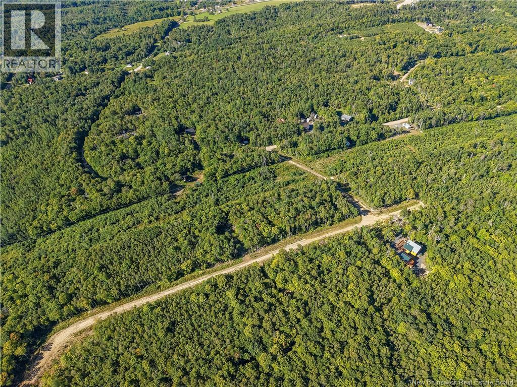 Lot Raven Ridge Road, Central Hainesville, New Brunswick  E6E 1E3 - Photo 11 - NB149419
