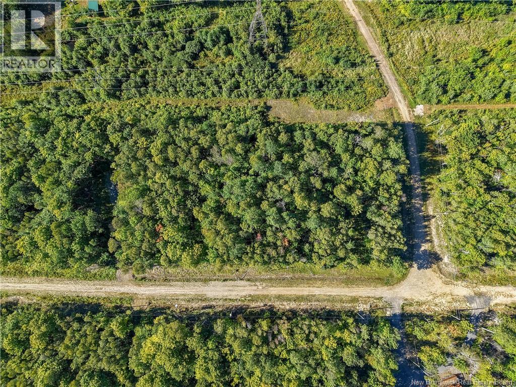 Lot Raven Ridge Road, Central Hainesville, New Brunswick  E6E 1E3 - Photo 3 - NB149419