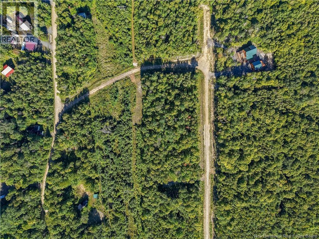 Lot Raven Ridge Road, Central Hainesville, New Brunswick  E6E 1E3 - Photo 4 - NB149419