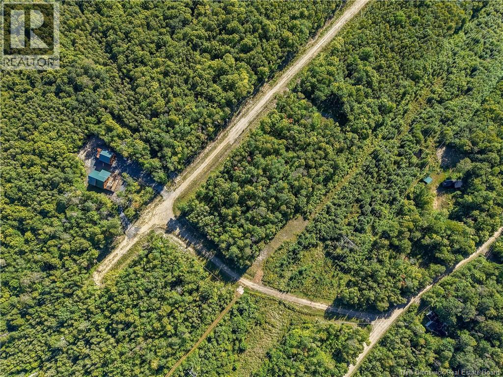 Lot Raven Ridge Road, Central Hainesville, New Brunswick  E6E 1E3 - Photo 5 - NB149419