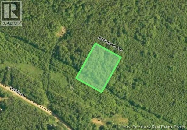 Lot Raven Ridge Road, Central Hainesville, New Brunswick  E6E 1E3 - Photo 9 - NB149419