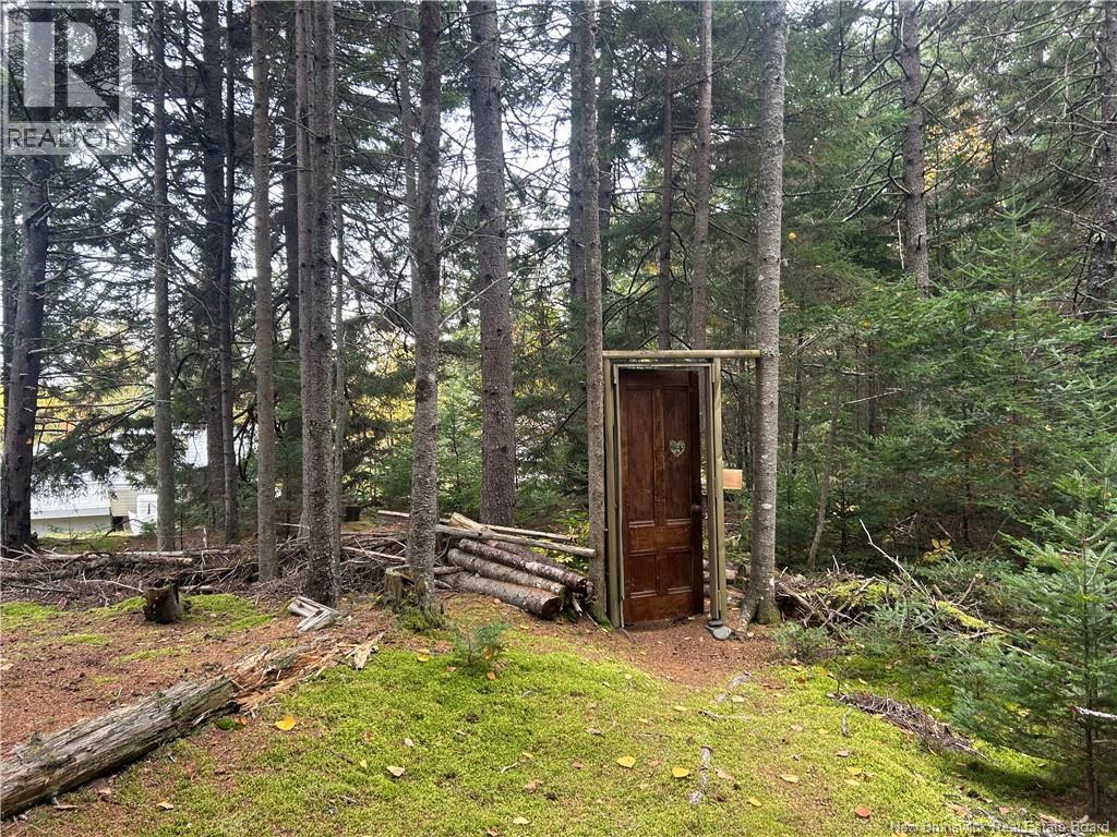 962 North Road, Welshpool, New Brunswick  E5E 1E4 - Photo 19 - NB149240