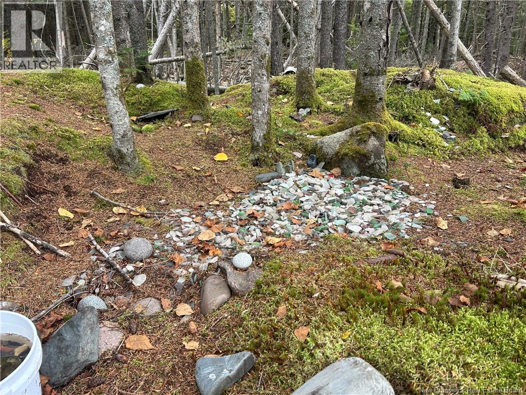 962 North Road, Welshpool, New Brunswick  E5E 1E4 - Photo 24 - NB149240