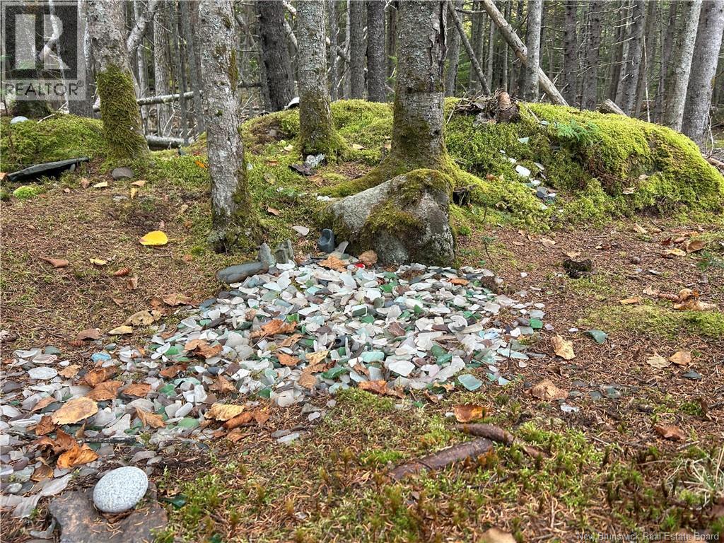 962 North Road, Welshpool, New Brunswick  E5E 1E4 - Photo 25 - NB149240