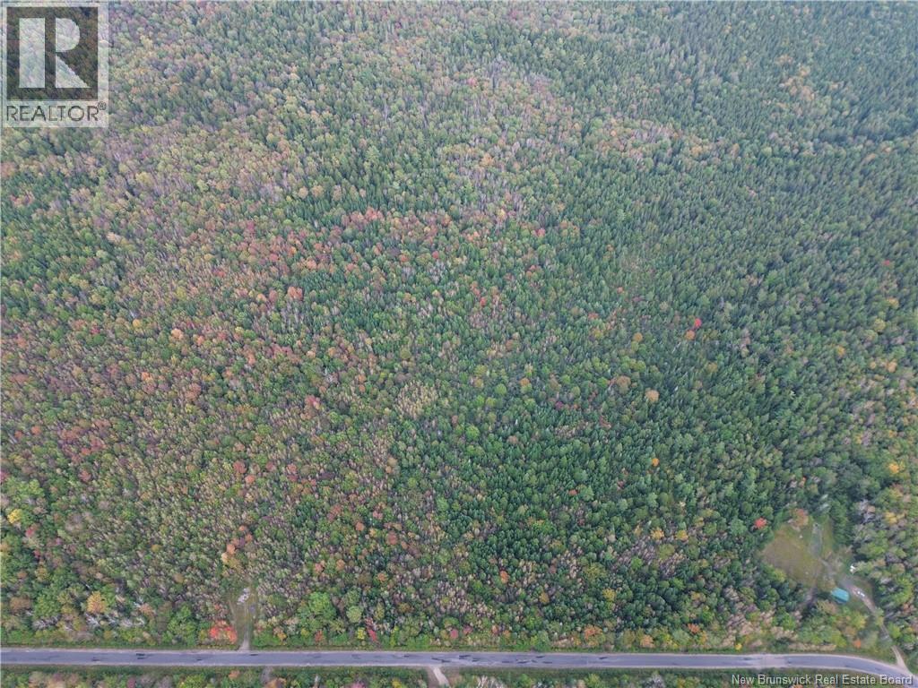 Lot 3 Bronson Sett Road, Bronson Settlement, New Brunswick  O0O 0O0 - Photo 3 - NB149340