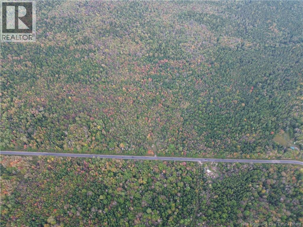 Lot 3 Bronson Sett Road, Bronson Settlement, New Brunswick  O0O 0O0 - Photo 5 - NB149340