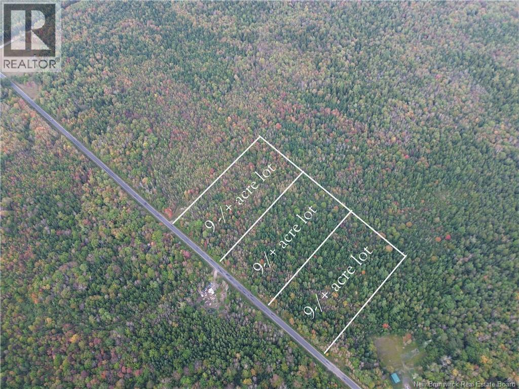 Lot 2 Bronson Settlement Rd, Bronson Settlement, New Brunswick  O0O 0O0 - Photo 2 - NB149339