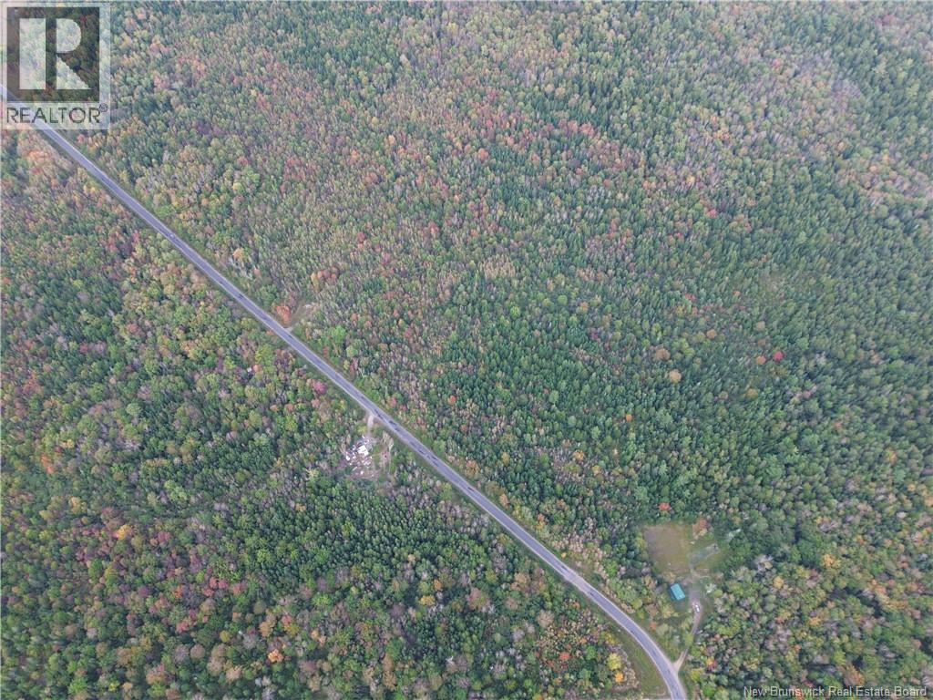 Lot 1 Bronson Settlement Road, Bronson Settlement, New Brunswick  O0O 0O0 - Photo 6 - NB149337