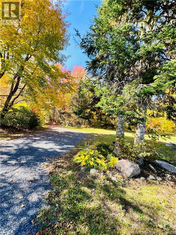 60 Mill Road Left Branch, Flume Ridge, New Brunswick  E6K 0B4 - Photo 44 - NB149469
