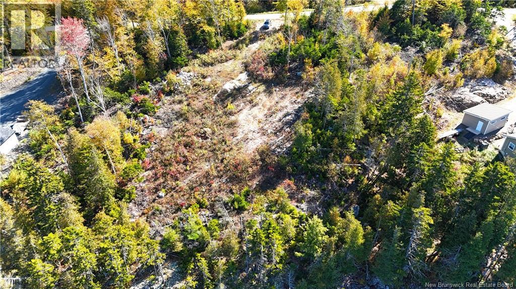 Bluff Road, Utopia, New Brunswick  E5C 0J4 - Photo 10 - NB149283