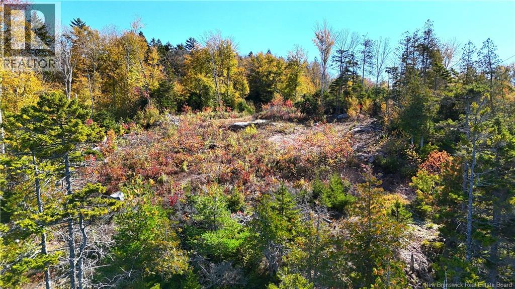 Bluff Road, Utopia, New Brunswick  E5C 0J4 - Photo 15 - NB149283