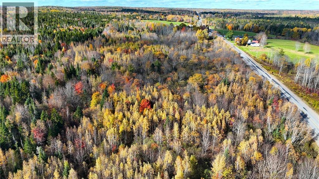 000 Route 127, Rollingdam, New Brunswick  E5A 2X1 - Photo 17 - NB149293