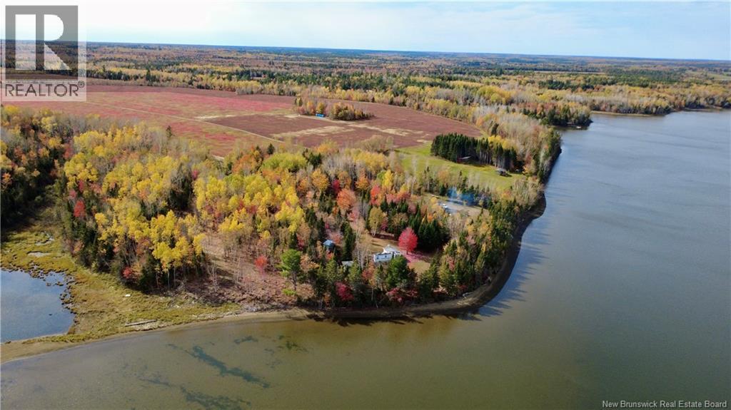 31.7 Acres Straight Brook Road, Tabusintac, New Brunswick E9H 2B3 - Photo 14 - NB149517
