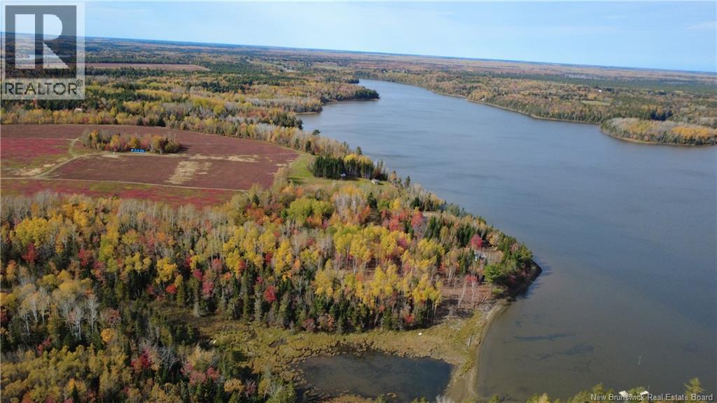 31.7 Acres Straight Brook Road, Tabusintac, New Brunswick E9H 2B3 - Photo 16 - NB149517