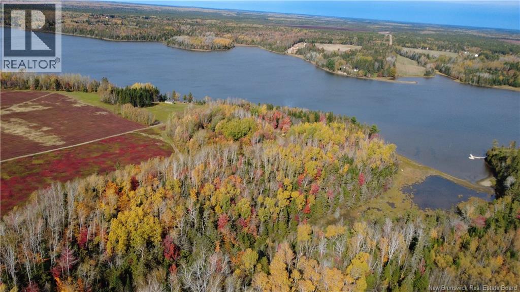31.7 Acres Straight Brook Road, Tabusintac, New Brunswick E9H 2B3 - Photo 17 - NB149517