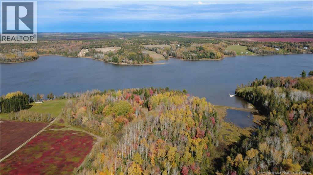 31.7 Acres Straight Brook Road, Tabusintac, New Brunswick E9H 2B3 - Photo 18 - NB149517