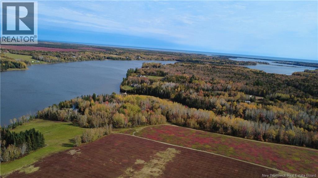 31.7 Acres Straight Brook Road, Tabusintac, New Brunswick E9H 2B3 - Photo 19 - NB149517