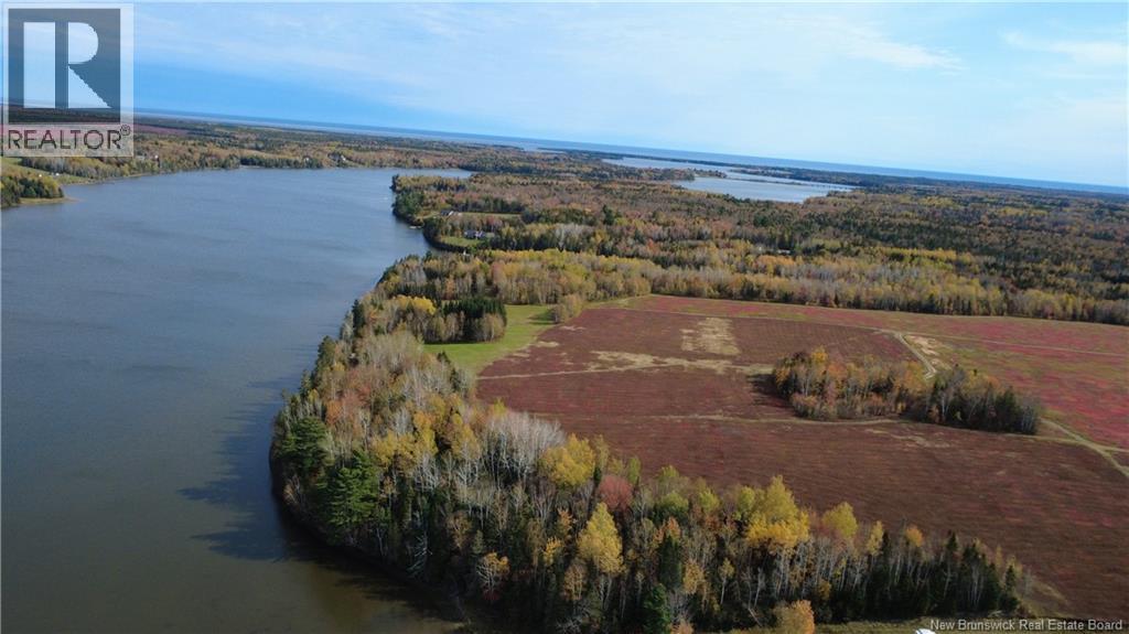 31.7 Acres Straight Brook Road, Tabusintac, New Brunswick E9H 2B3 - Photo 20 - NB149517