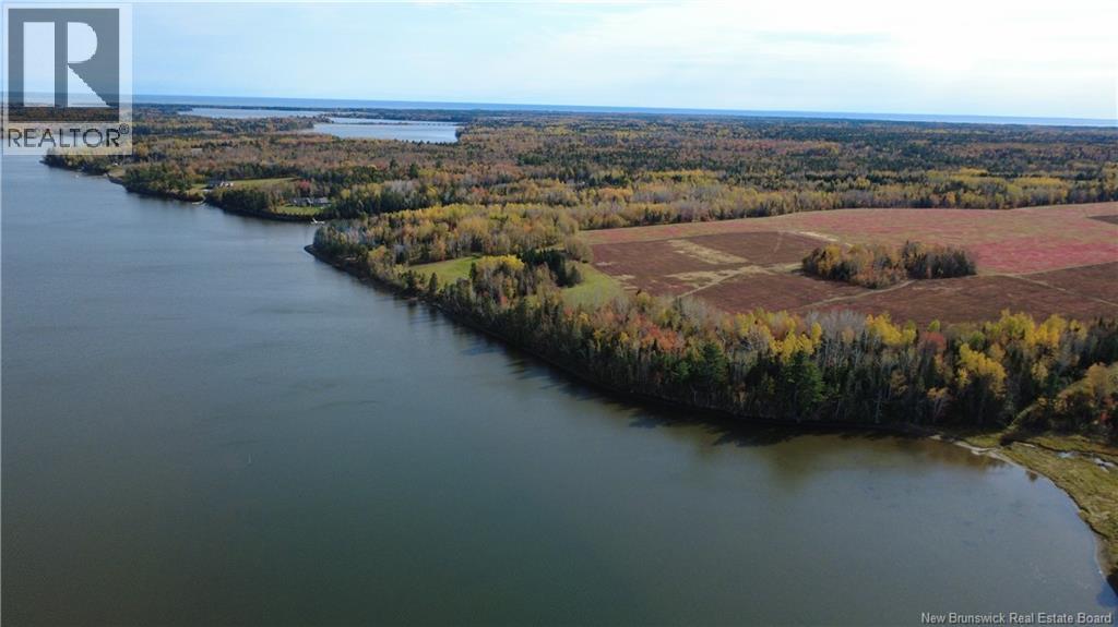 31.7 Acres Straight Brook Road, Tabusintac, New Brunswick E9H 2B3 - Photo 21 - NB149517