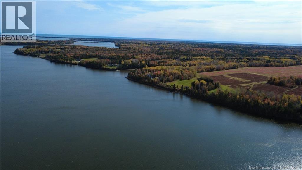 31.7 Acres Straight Brook Road, Tabusintac, New Brunswick E9H 2B3 - Photo 22 - NB149517