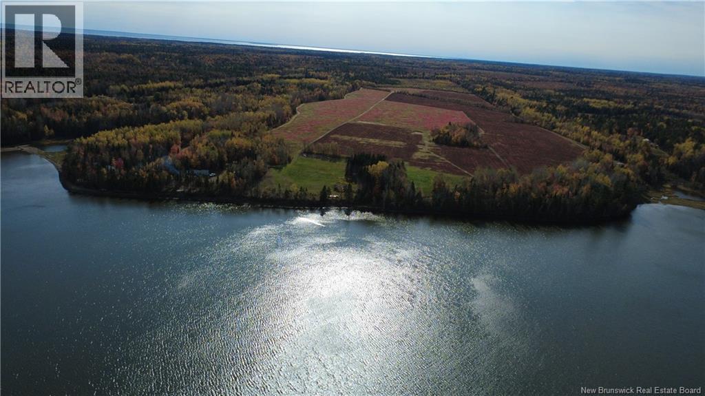 31.7 Acres Straight Brook Road, Tabusintac, New Brunswick E9H 2B3 - Photo 23 - NB149517