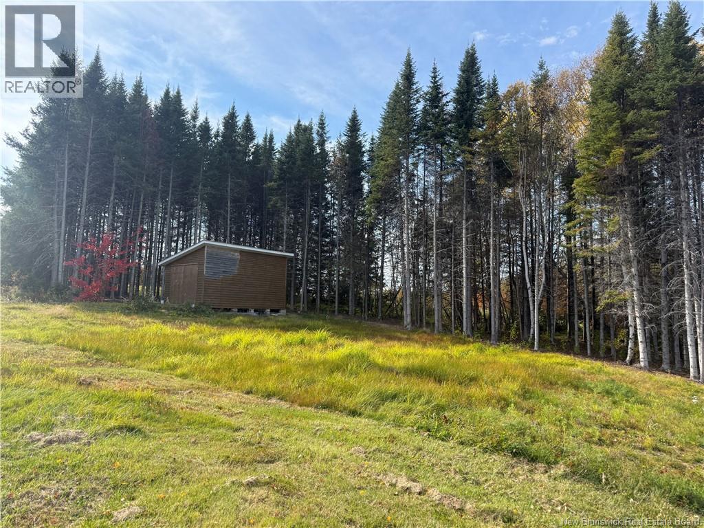 31.7 Acres Straight Brook Road, Tabusintac, New Brunswick E9H 2B3 - Photo 26 - NB149517