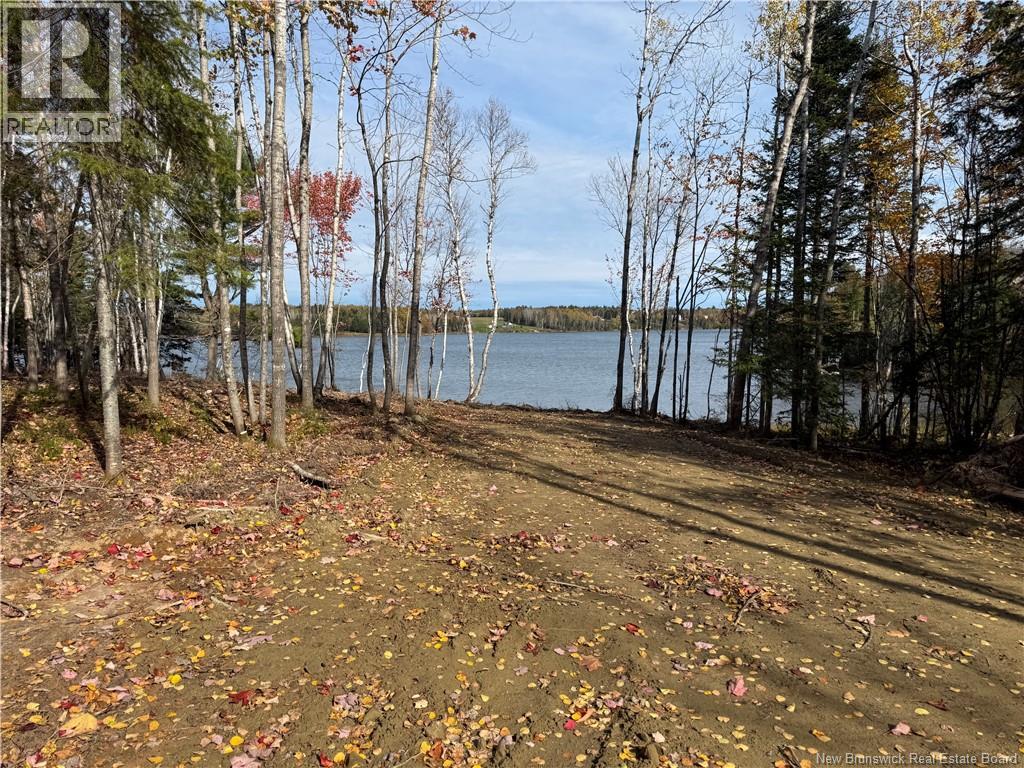 31.7 Acres Straight Brook Road, Tabusintac, New Brunswick E9H 2B3 - Photo 44 - NB149517