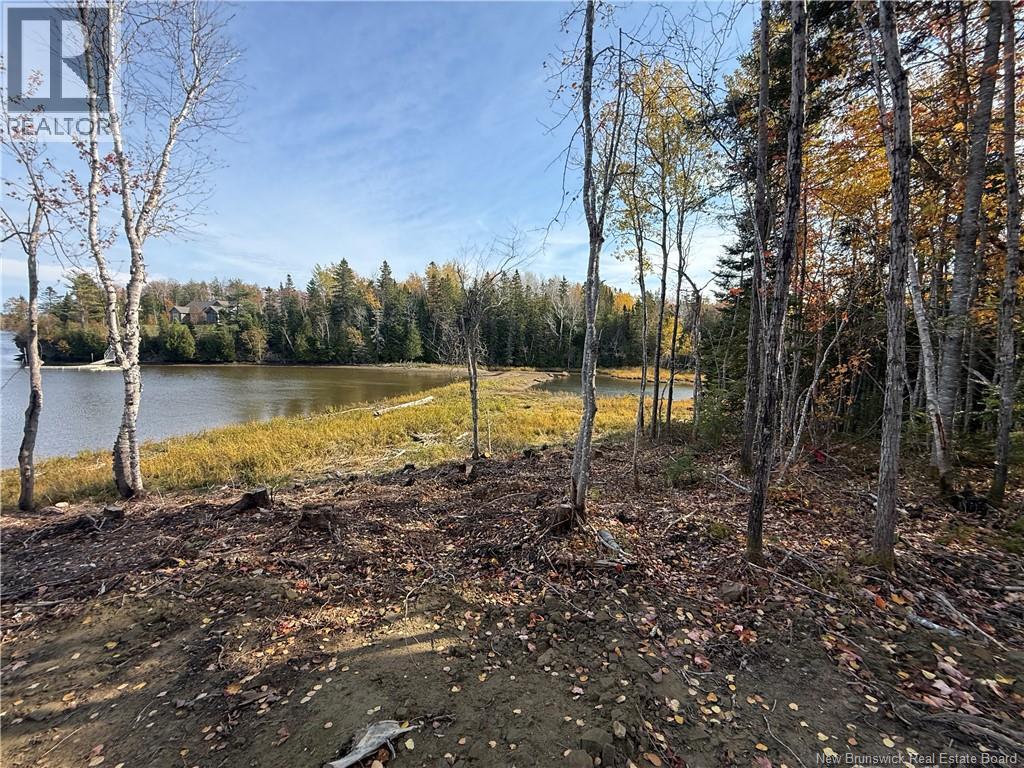 31.7 Acres Straight Brook Road, Tabusintac, New Brunswick E9H 2B3 - Photo 45 - NB149517