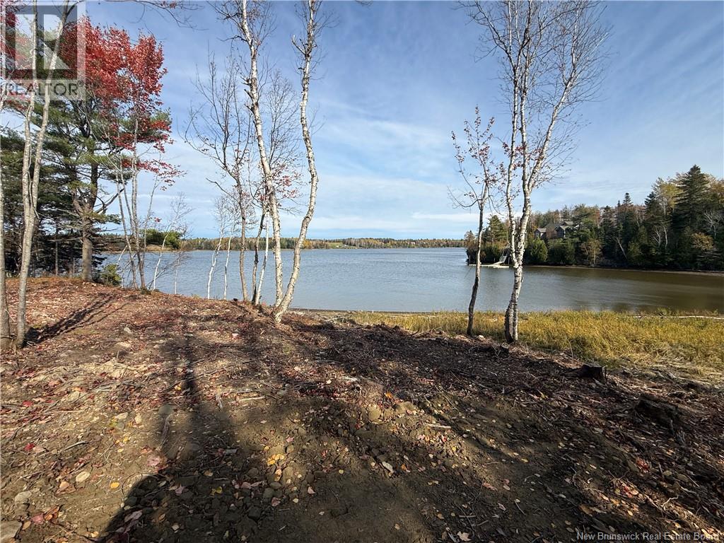 31.7 Acres Straight Brook Road, Tabusintac, New Brunswick E9H 2B3 - Photo 46 - NB149517