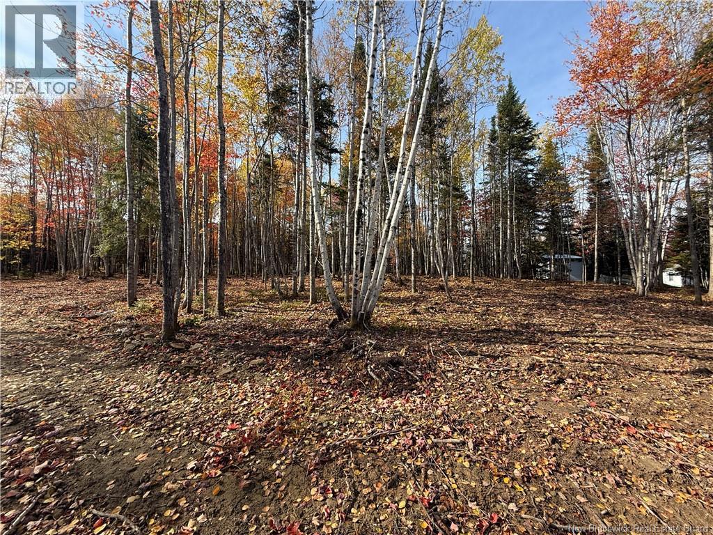 31.7 Acres Straight Brook Road, Tabusintac, New Brunswick E9H 2B3 - Photo 47 - NB149517