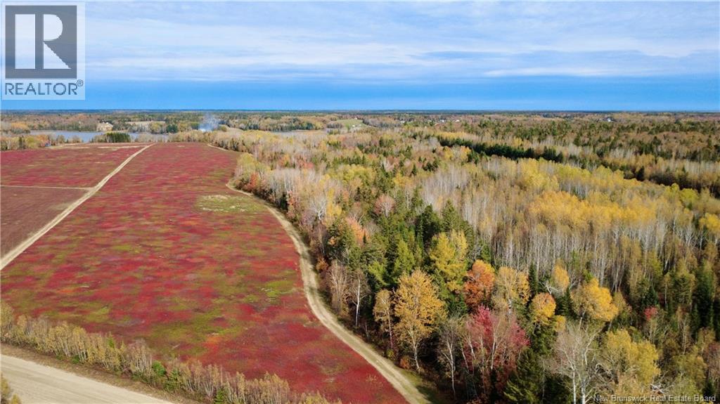 31.7 Acres Straight Brook Road, Tabusintac, New Brunswick E9H 2B3 - Photo 6 - NB149517