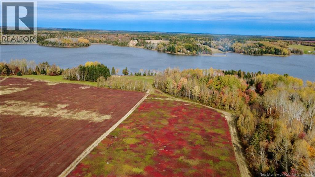 31.7 Acres Straight Brook Road, Tabusintac, New Brunswick E9H 2B3 - Photo 7 - NB149517