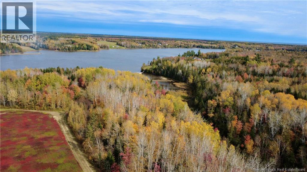 31.7 Acres Straight Brook Road, Tabusintac, New Brunswick E9H 2B3 - Photo 8 - NB149517
