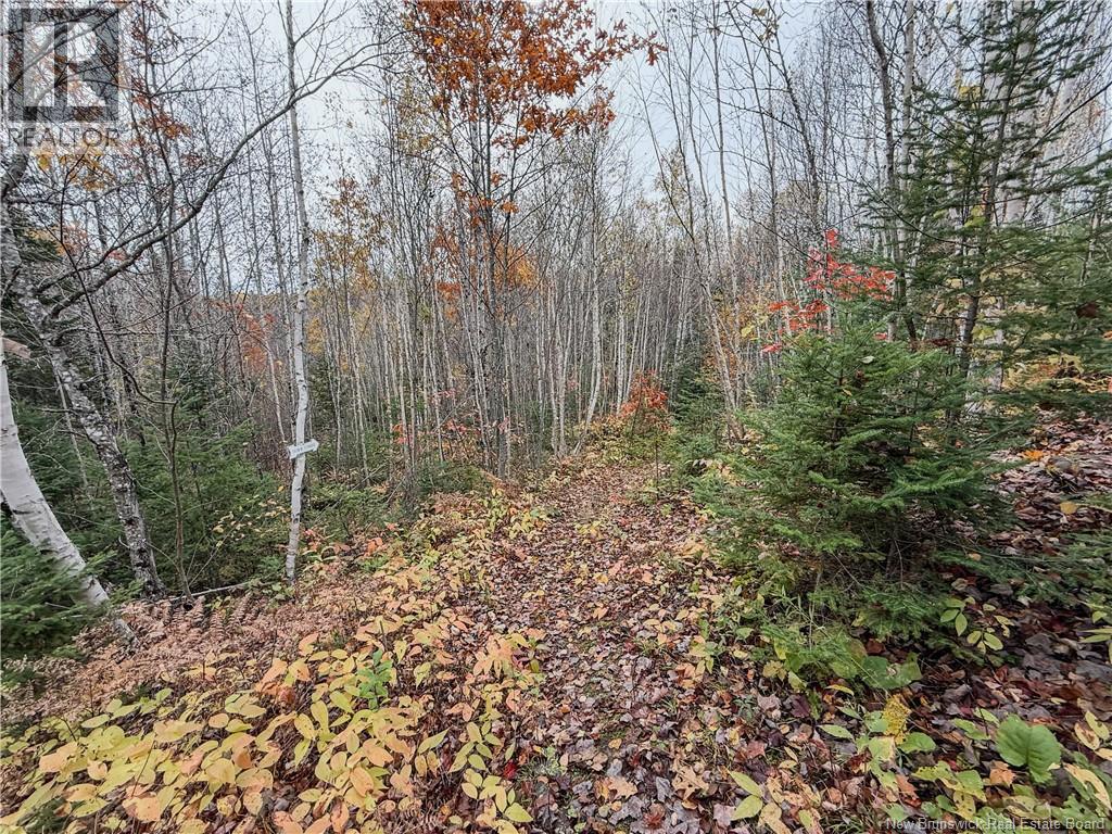 7756 Route 112, Hunters Home, New Brunswick  E4C 4J7 - Photo 40 - NB149606