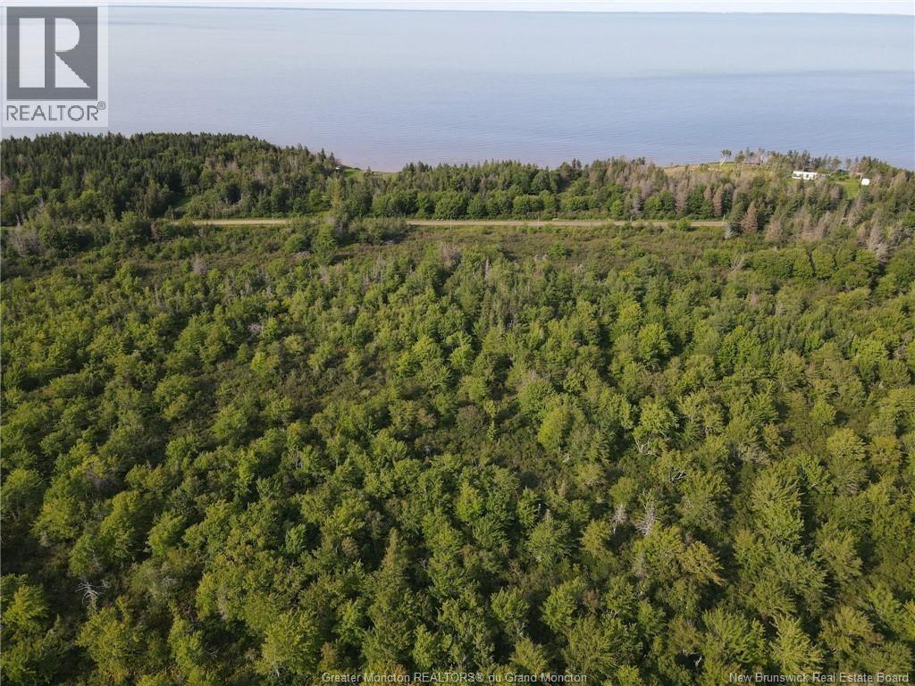 Lot 23-02 Route 955, Murray Corner, New Brunswick E4M 3M8 - Photo 4 - NB149640