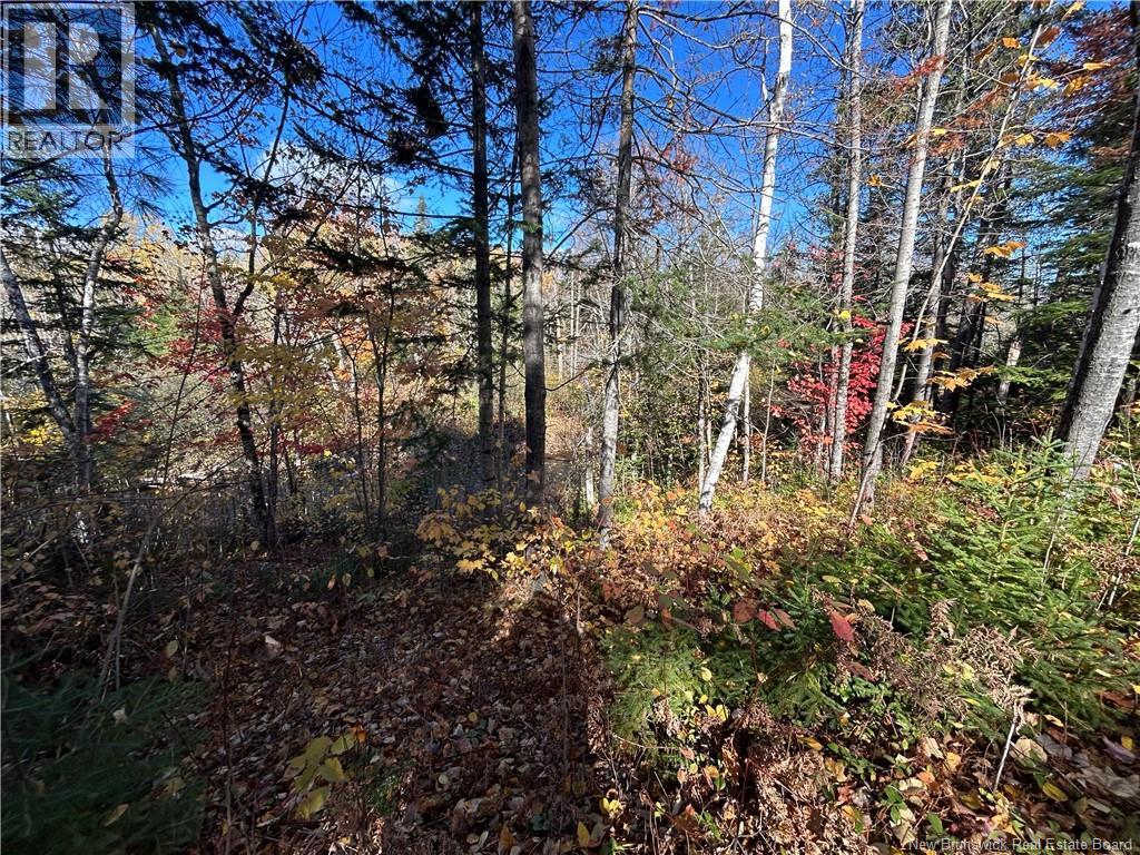 Lot Allée Des Poulamons, Bertrand, New Brunswick  E1W 0A5 - Photo 1 - NB149666