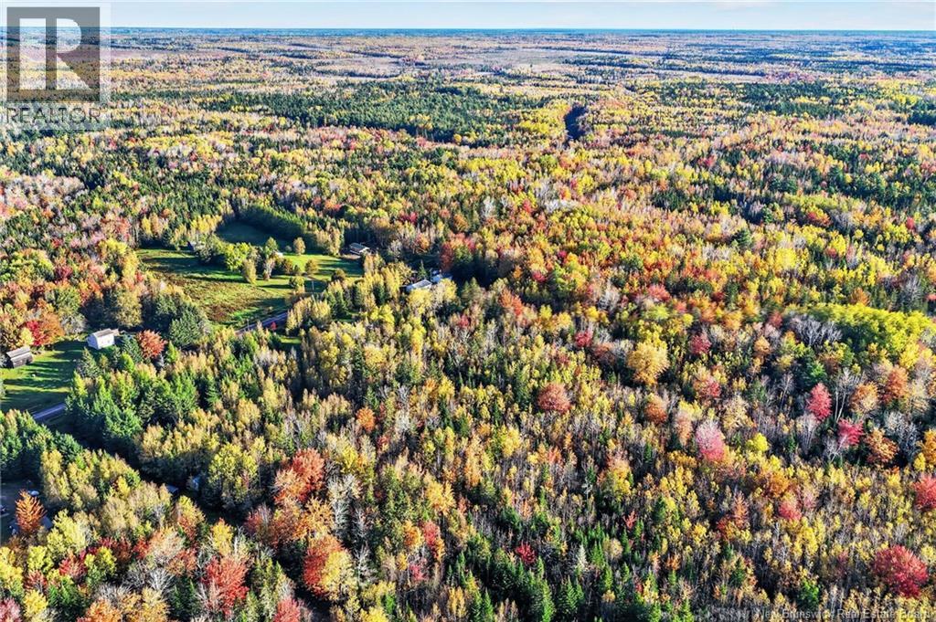 Lot 20-3 Shediac River Rd, Saint-Philippe, New Brunswick  E1H 1R9 - Photo 12 - NB149656