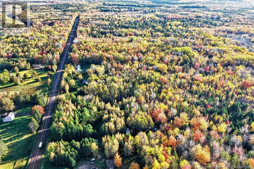 Lot 20-3 Shediac River Rd, Saint-Philippe, New Brunswick  E1H 1R9 - Photo 14 - NB149656