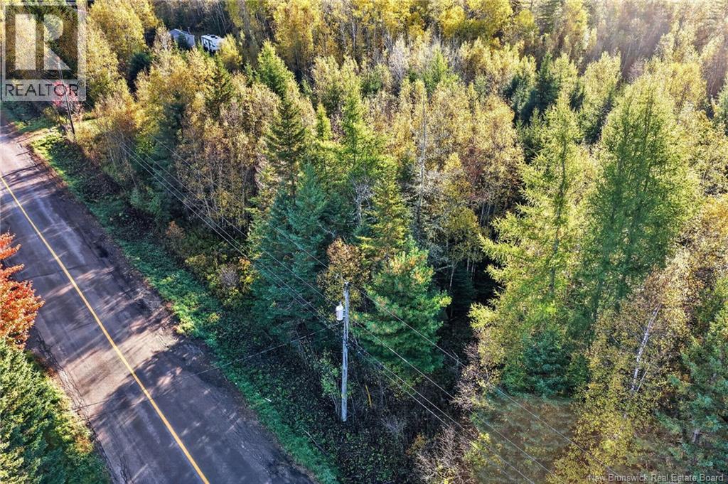 Lot 20-3 Shediac River Rd, Saint-Philippe, New Brunswick  E1H 1R9 - Photo 17 - NB149656
