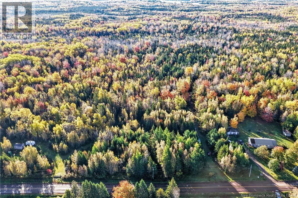 Lot 20-3 Shediac River Rd, Saint-Philippe, New Brunswick  E1H 1R9 - Photo 4 - NB149656