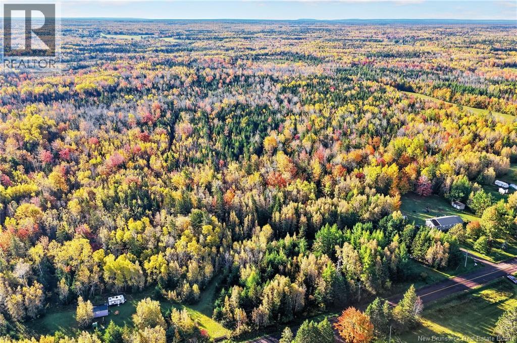Lot 20-3 Shediac River Rd, Saint-Philippe, New Brunswick  E1H 1R9 - Photo 5 - NB149656