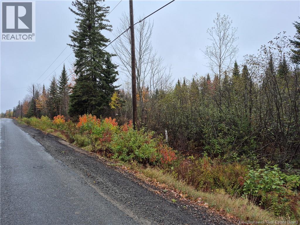 Kingsley Road, Kingsley, New Brunswick  E3A 6G2 - Photo 1 - NB149705