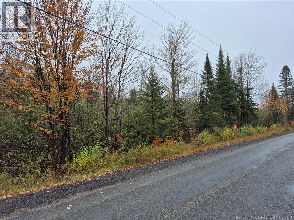 Kingsley Road, Kingsley, New Brunswick  E3A 6G2 - Photo 18 - NB149705